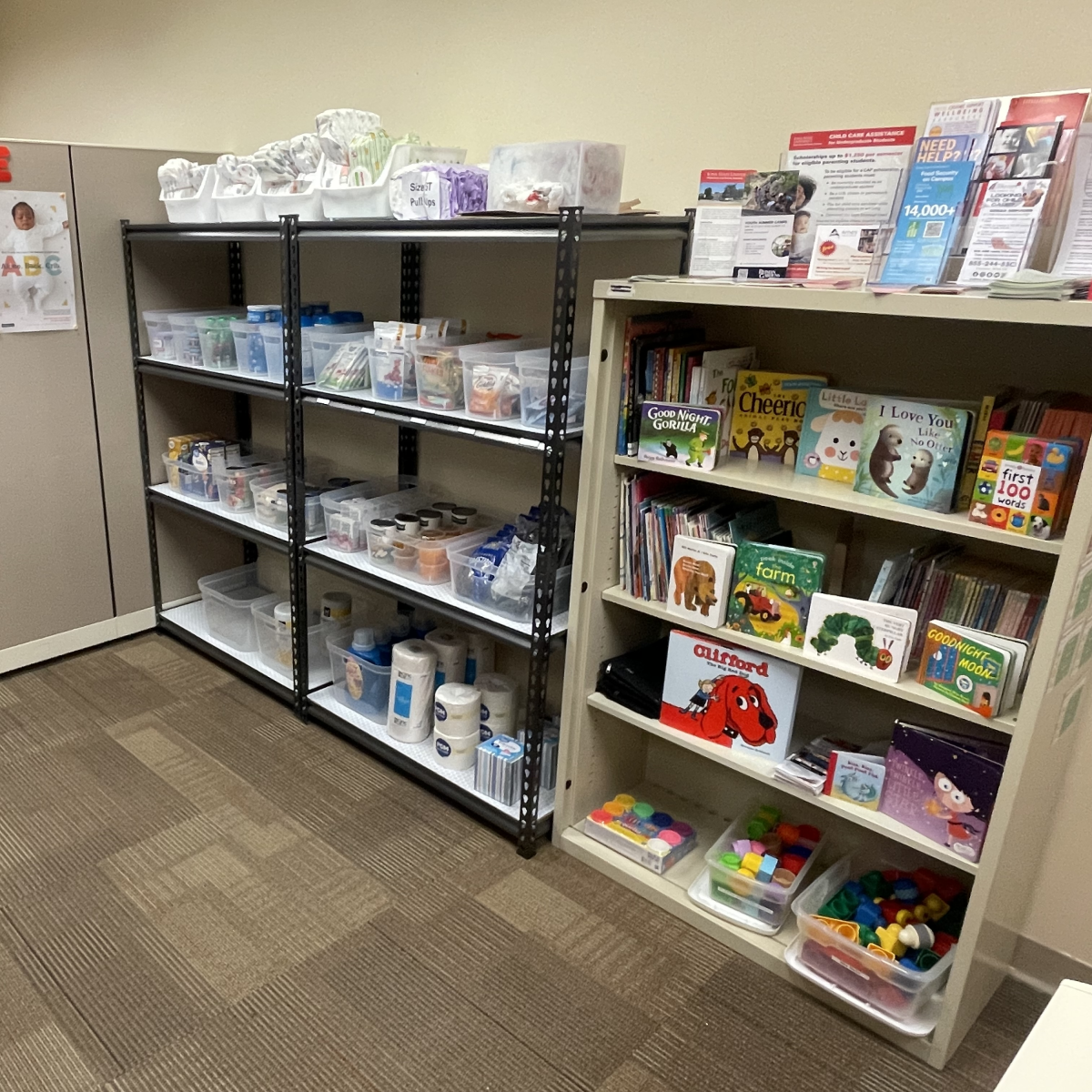 Photo of items available in Resource Pantry