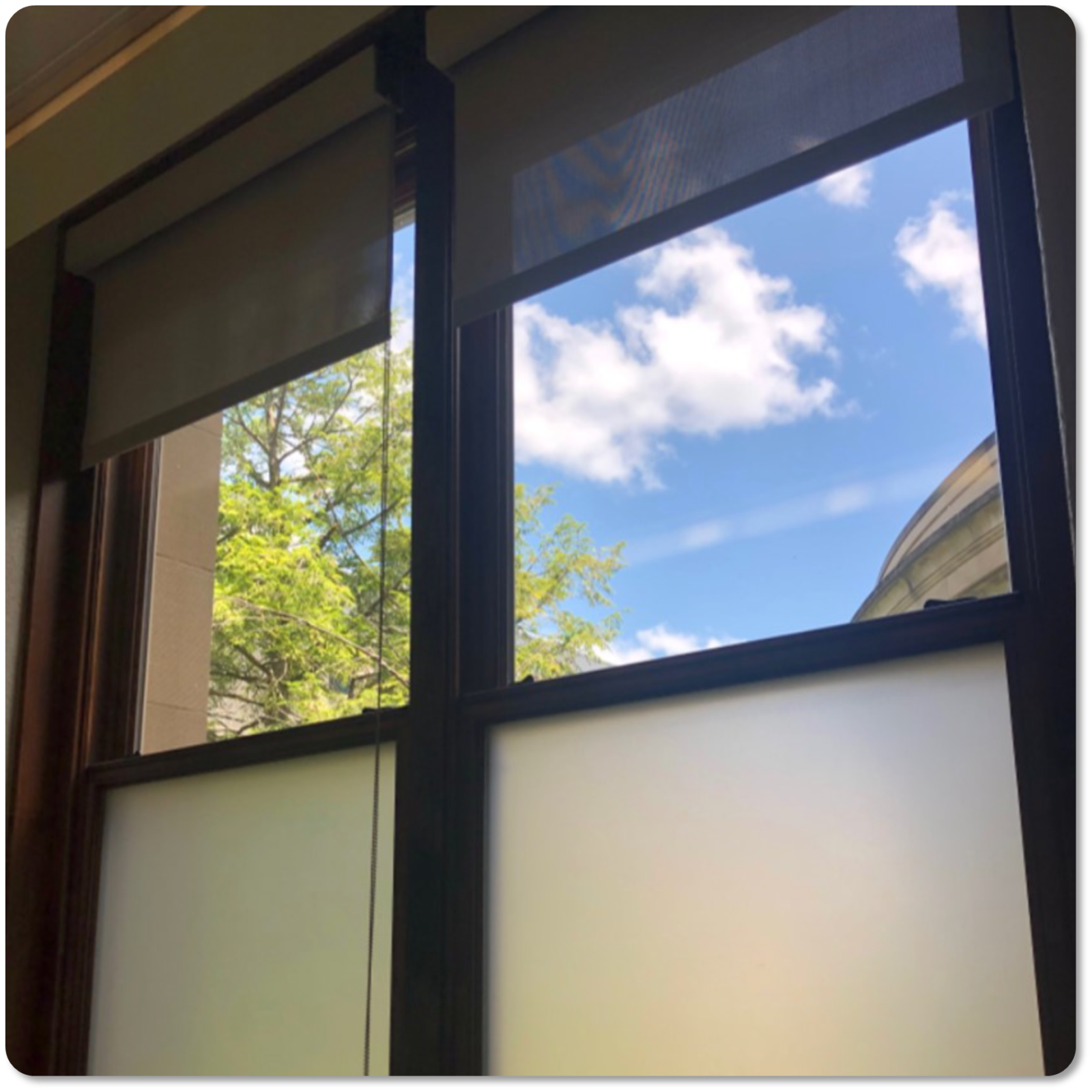 Windows in curtiss hall room