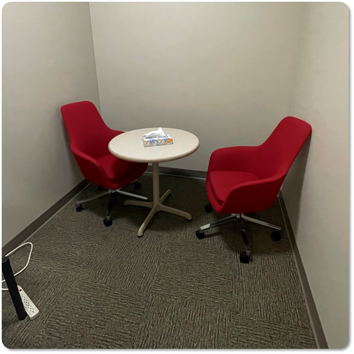 2 Chairs in Youth Extension